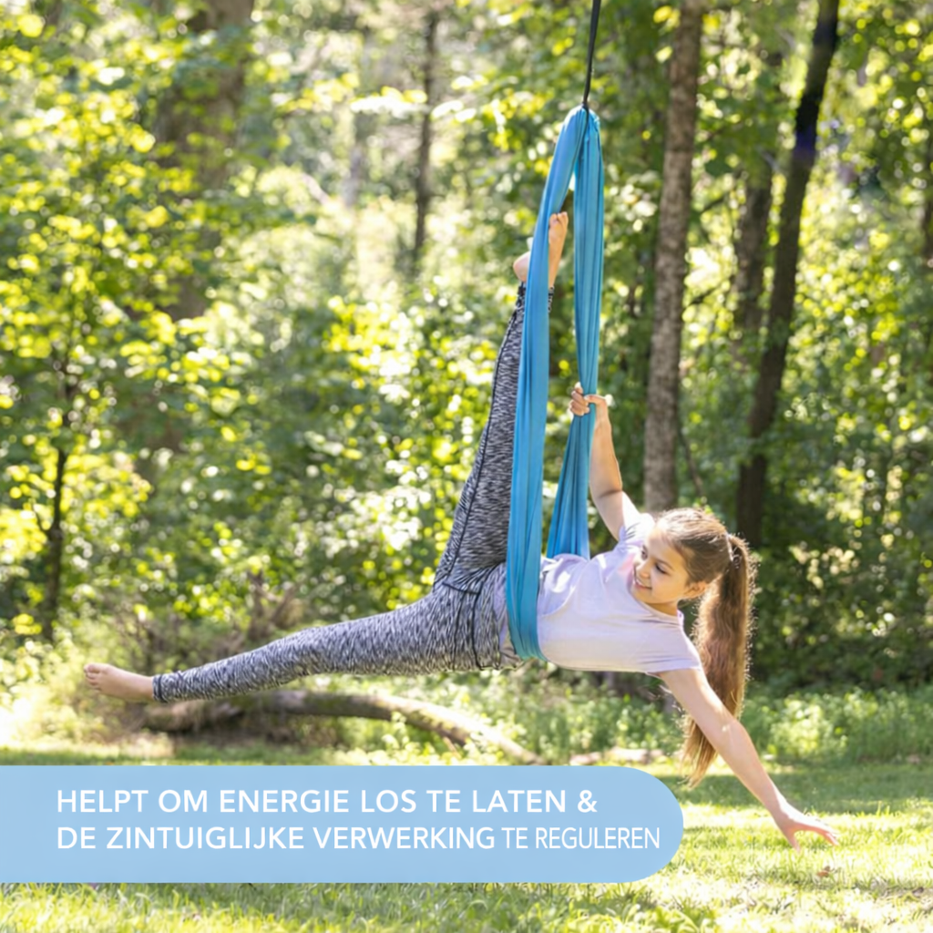 SmartPlayground™ Therapieschommel