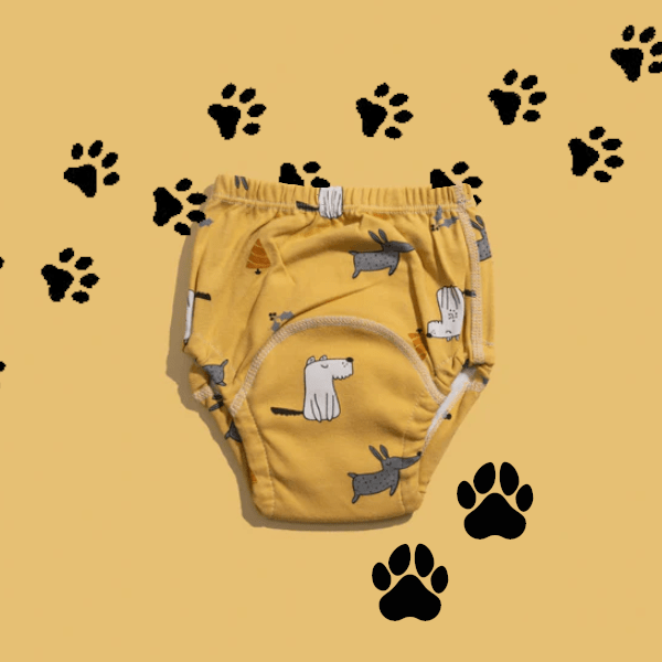 Potty Trainingsluiers - Zindelijkheid makkelijk gemaakt